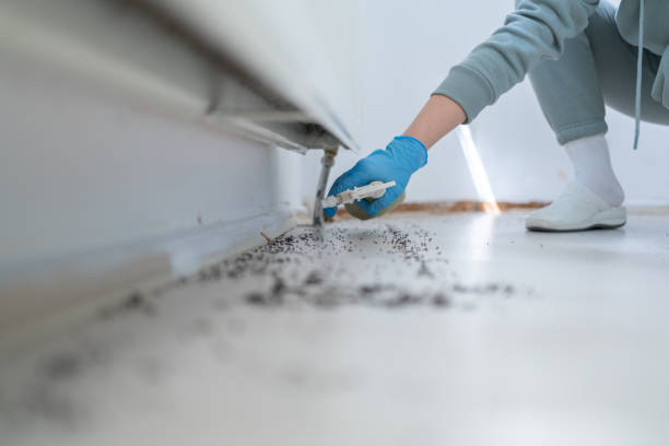 Pest Control Cost in Boswell, PA